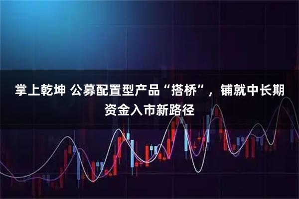 掌上乾坤 公募配置型产品“搭桥”，铺就中长期资金入市新路径