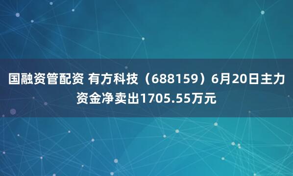 国融资管配资 有方科技（688159）6月20日主力资金净卖出1705.55万元
