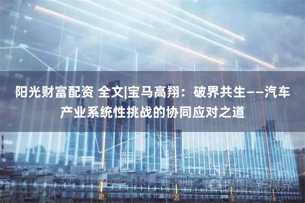 阳光财富配资 全文|宝马高翔:破界共生——汽车产业系统性挑战的协同应对之道