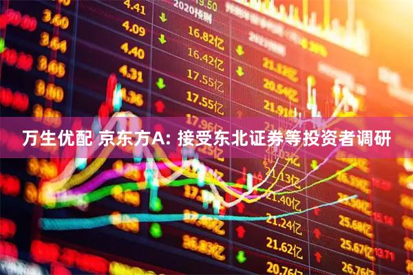 万生优配 京东方A: 接受东北证券等投资者调研